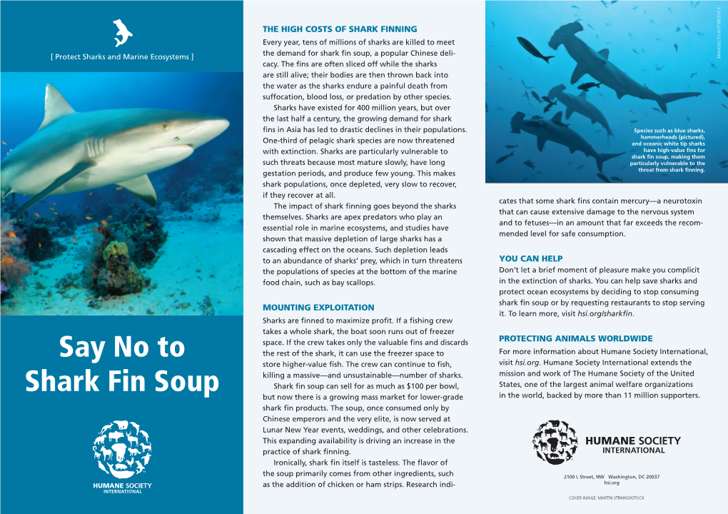 Say No to Shark Fin Soup