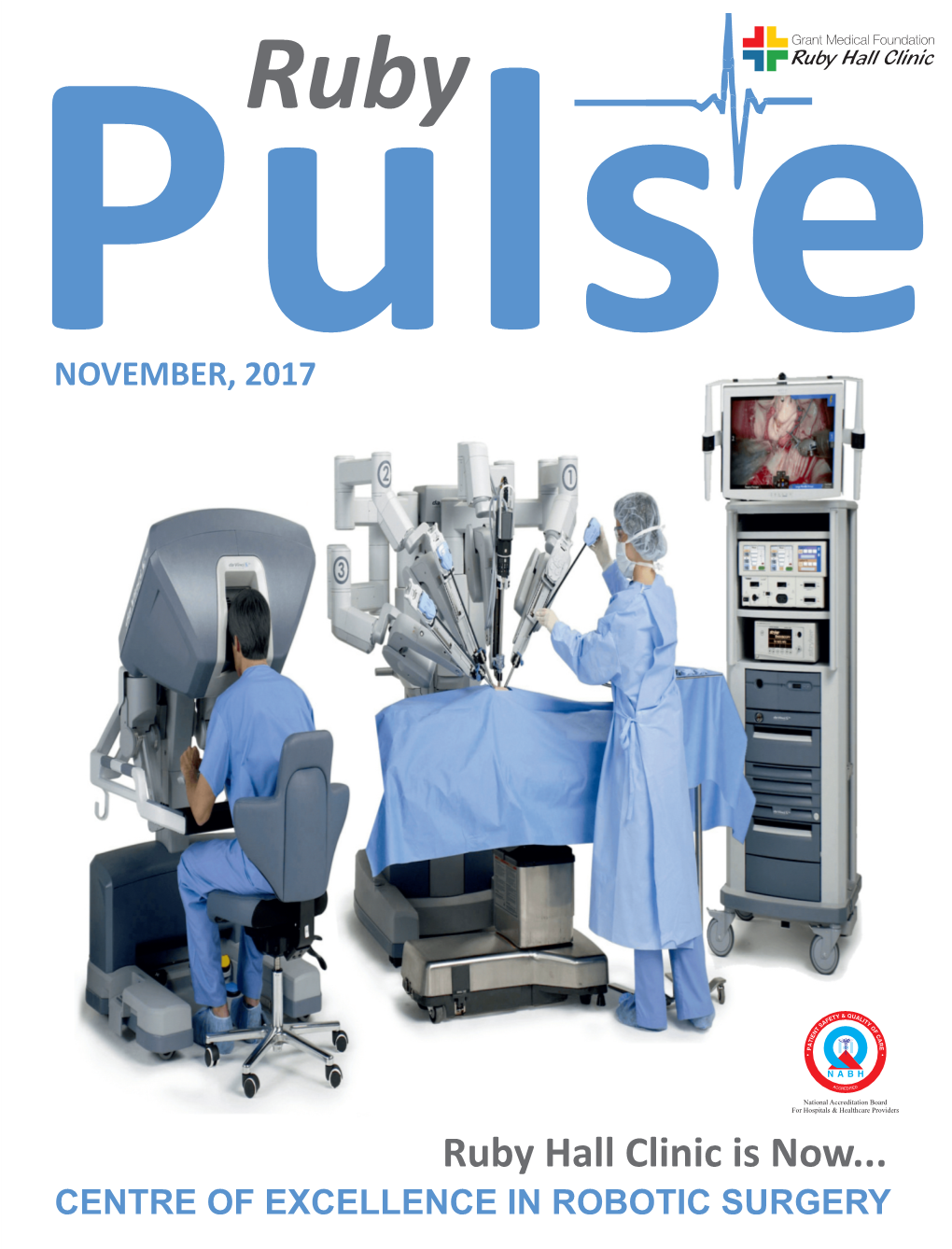 Final Ruby Pulse Nov 2017.Cdr