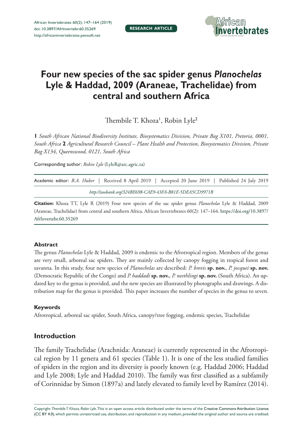 ﻿Four New Species of the Sac Spider Genus