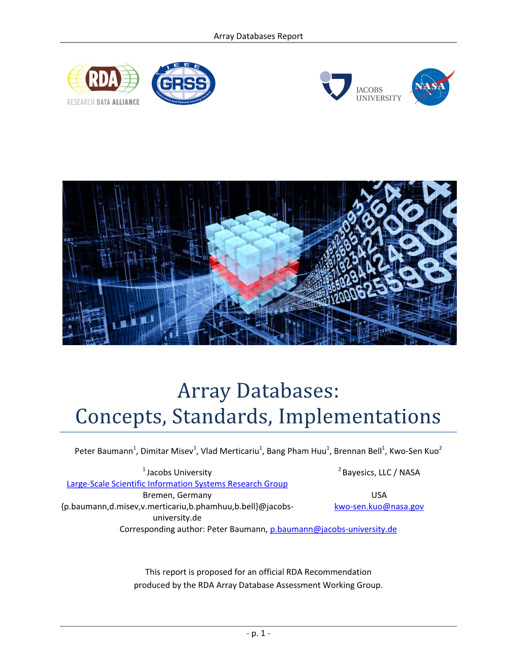 Array Databases Report