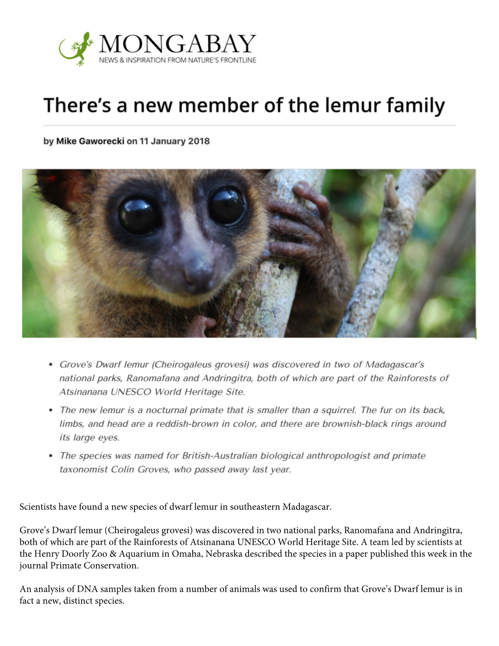 There's a New Member of the Lemur Family