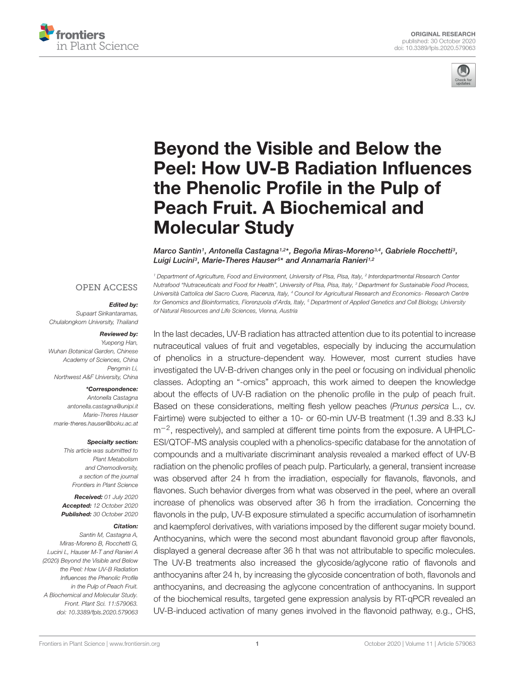 Beyond the Visible and Below the Peel: How UV-B Radiation Inﬂuences the Phenolic Proﬁle in the Pulp of Peach Fruit