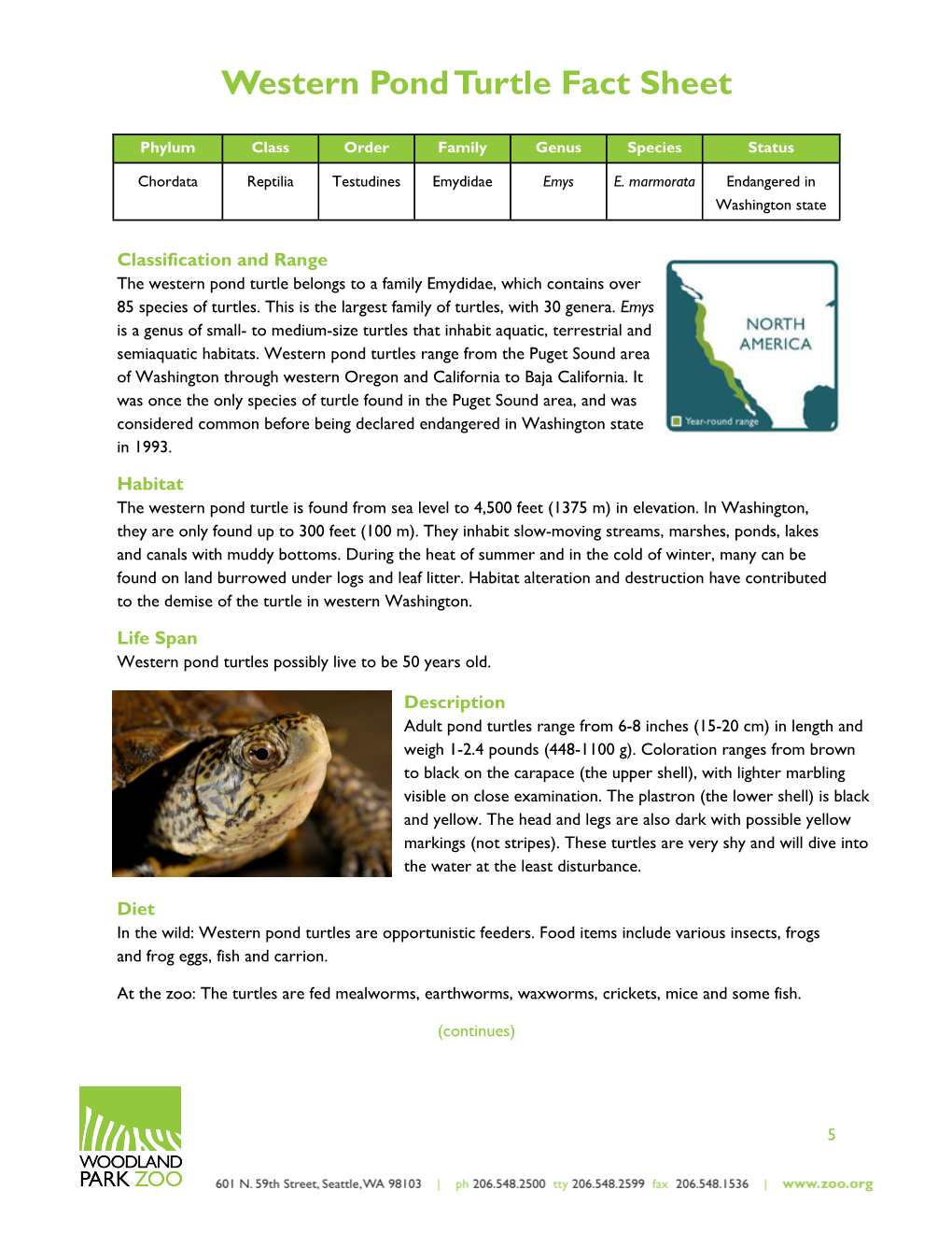 Western Pond Turtle Factsheet