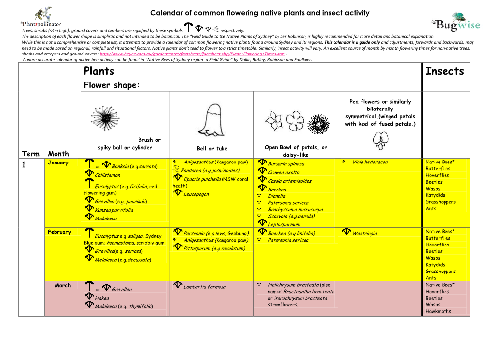 Plants Insects Flower Shape