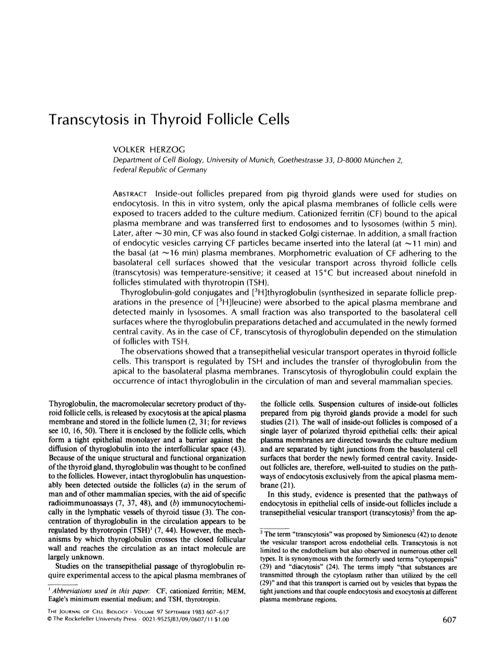 Transcytosis in Thyroid Follicle Cells