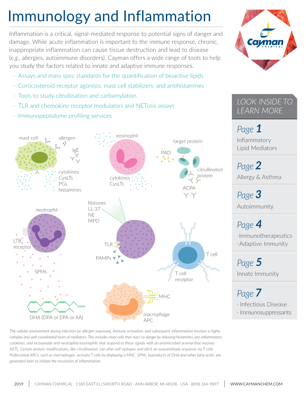 Immunology and Inflammation