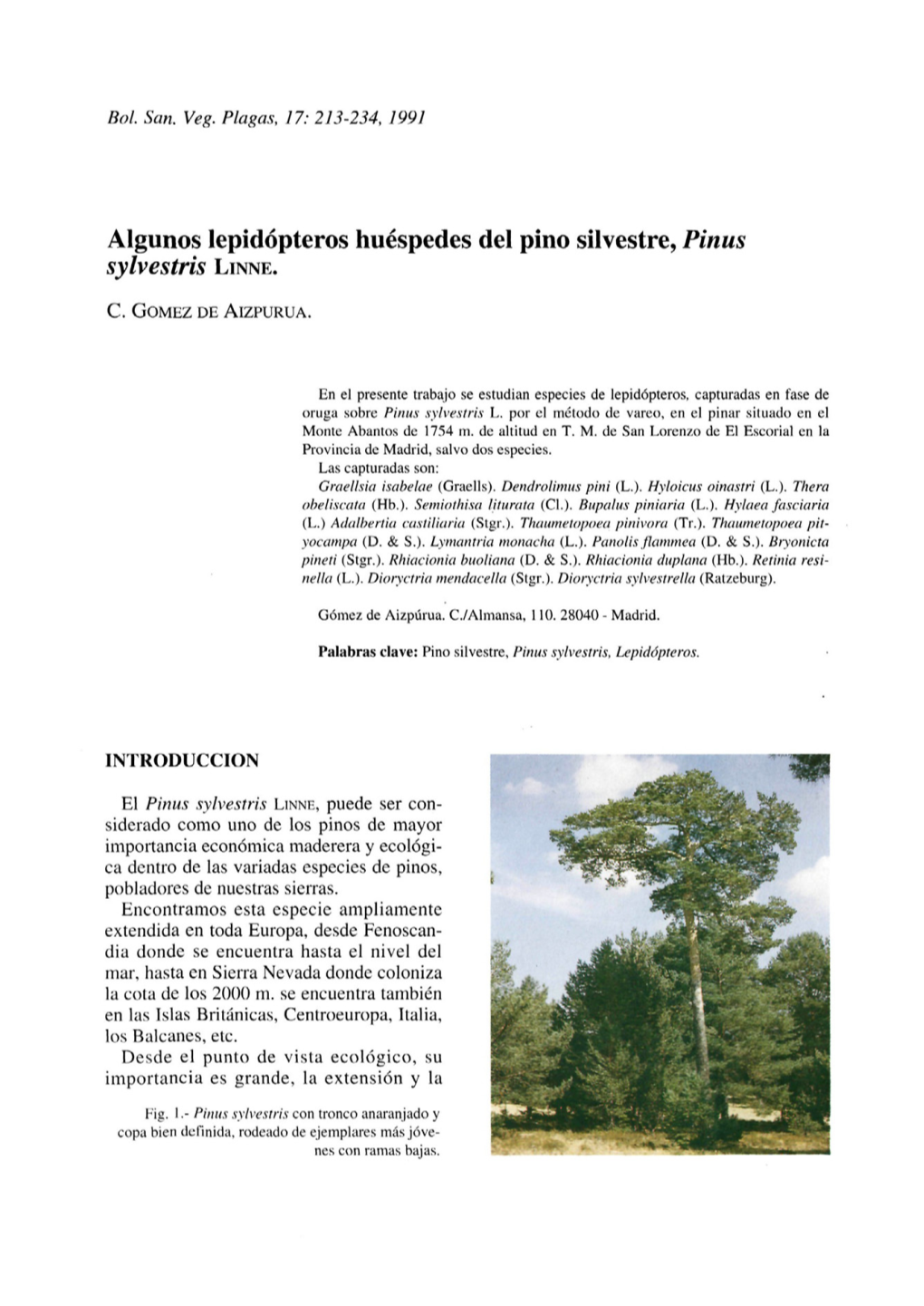 Algunos Lepidópteros Huéspedes Del Pino Silvestre, Pinus Sylvestris LINNE