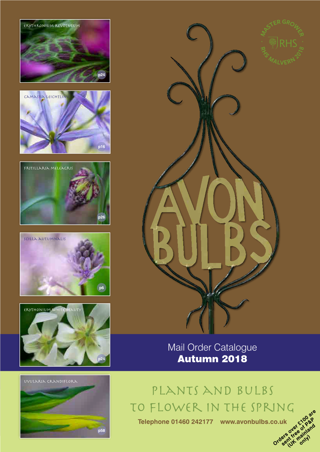 Plants and Bulbs to Flower in the Spring