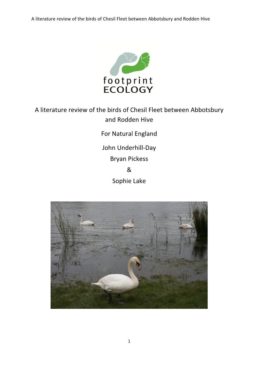 A Literature Review of the Birds of Chesil Fleet Between Abbotsbury and Rodden Hive