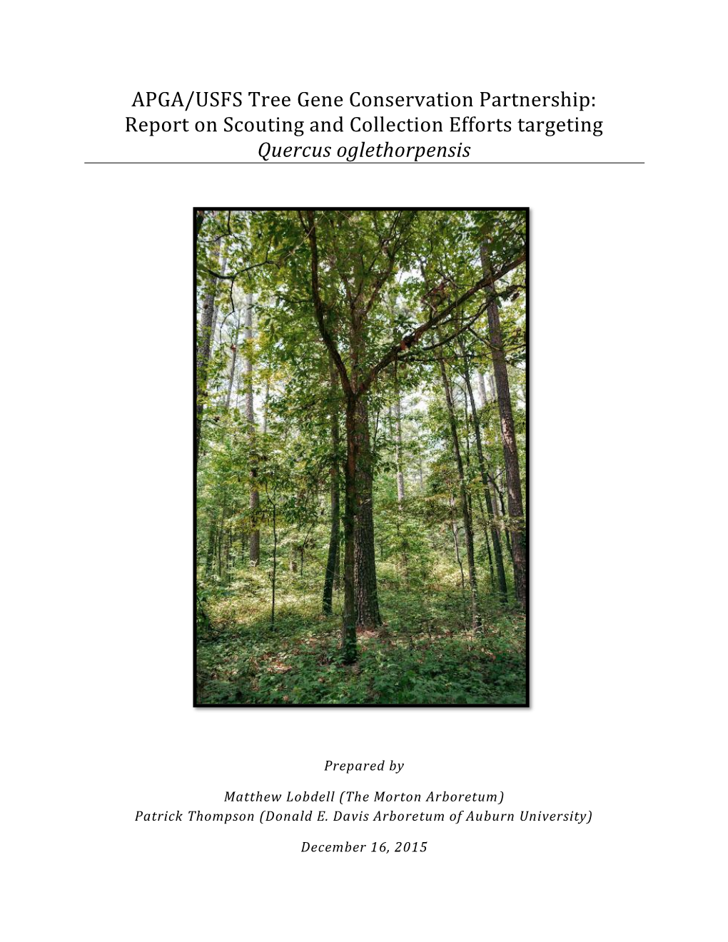 Report on Scouting and Collection Efforts Targeting Quercus Oglethorpensis