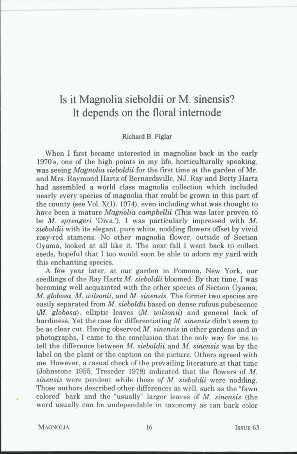 Is It Magnolia Sieboldii Or M. Sinensis? It Depends on the Floral Internode