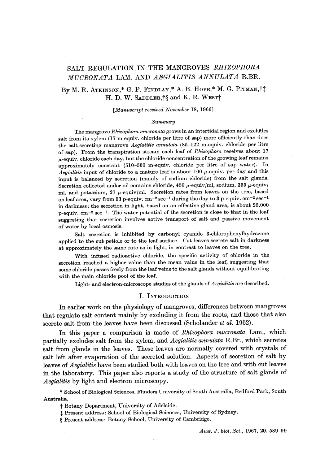 Salt Regulation in the Mangroves Rhizophora Mucronata Lam