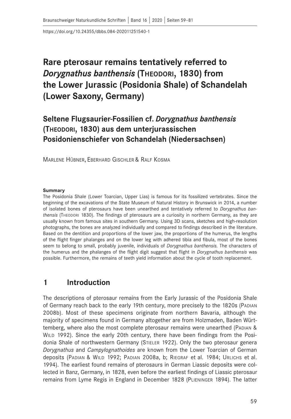 Rare Pterosaur Remains Tentatively Referred to Dorygnathus Banthensis (Theodori, 1830) from the Lower Jurassic (Posidonia Shale) of Schandelah (Lower Saxony, Germany)