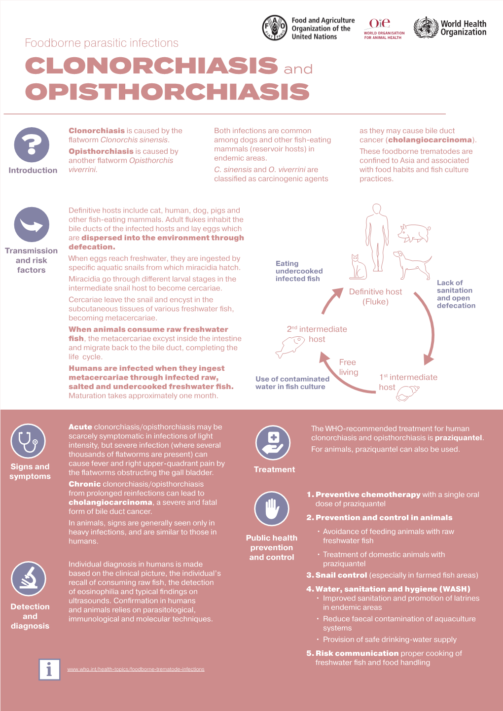 Infographic Clonorchiasis and Opisthorchiasis