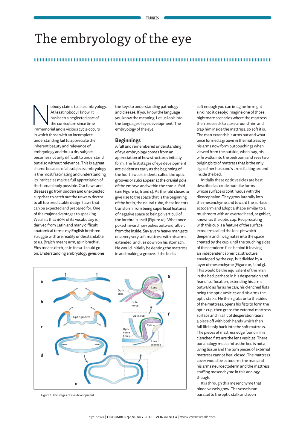 The Embryology of the Eye