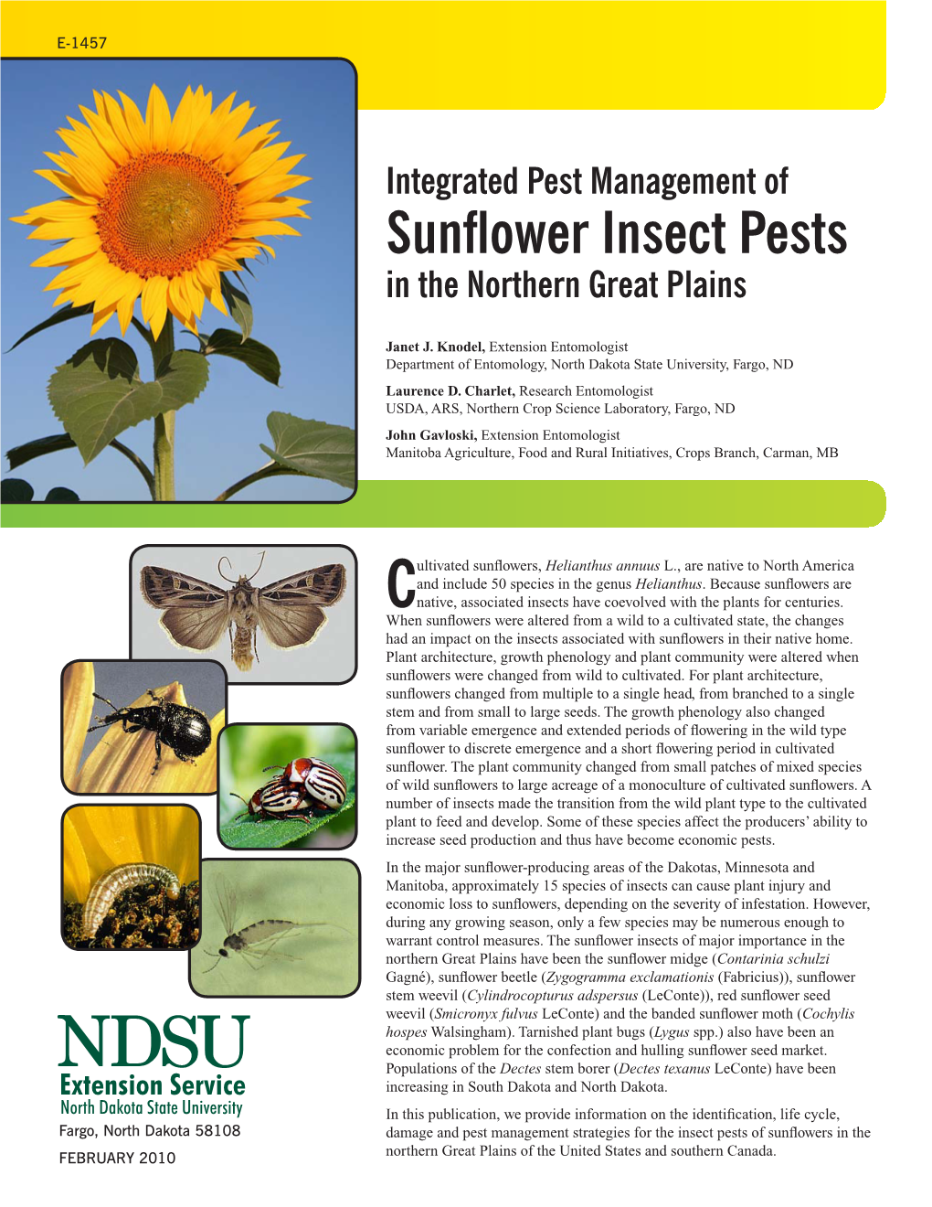 IPM of Sunflower Insect Pests in the Northern Great Plains