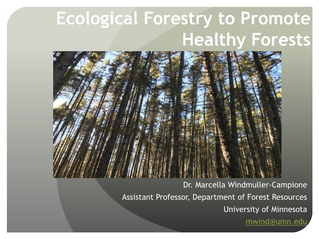 Ecological Forestry to Promote Healthy Forests