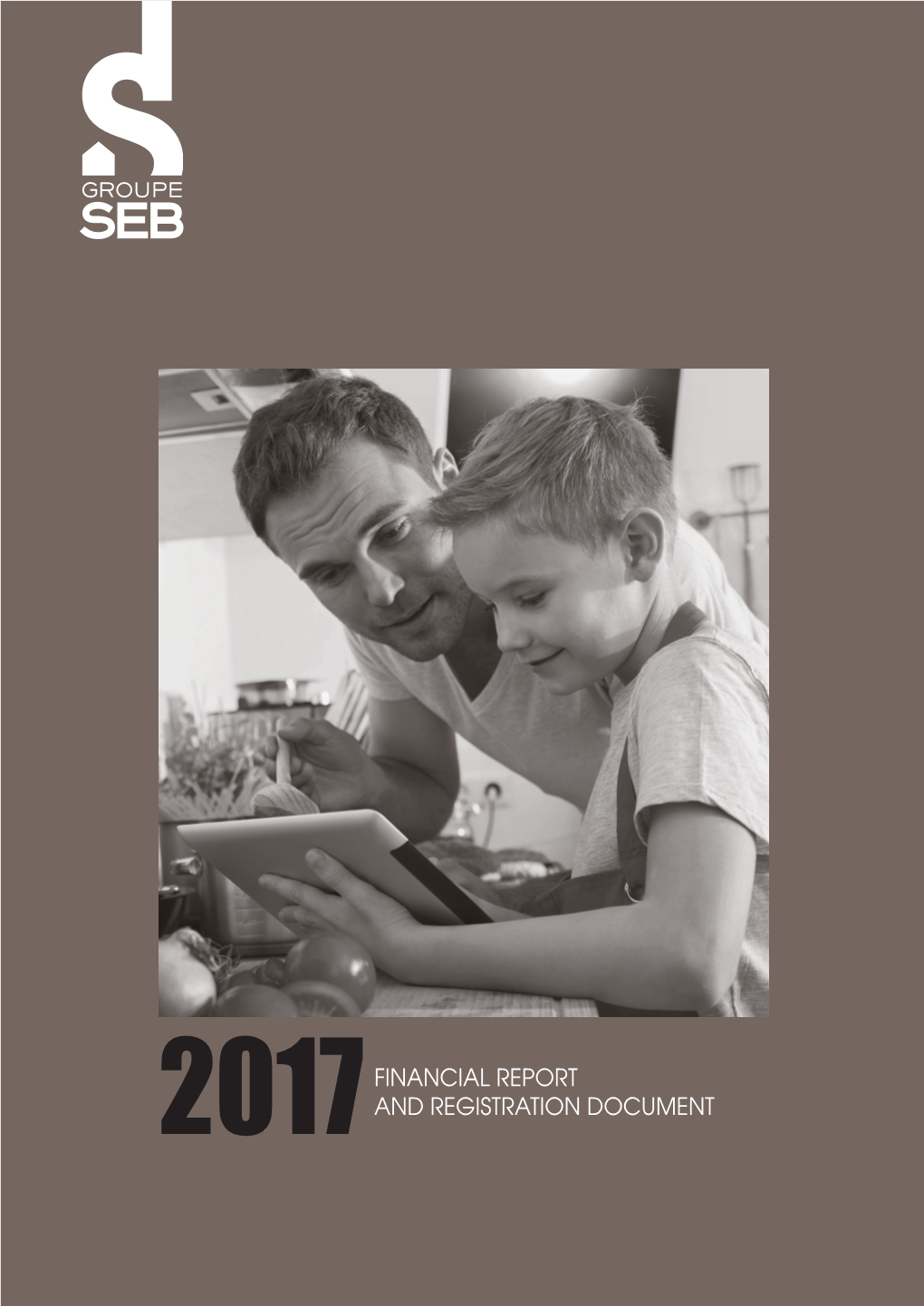 Groupe SEB 2017 Financial Report and Registration Document