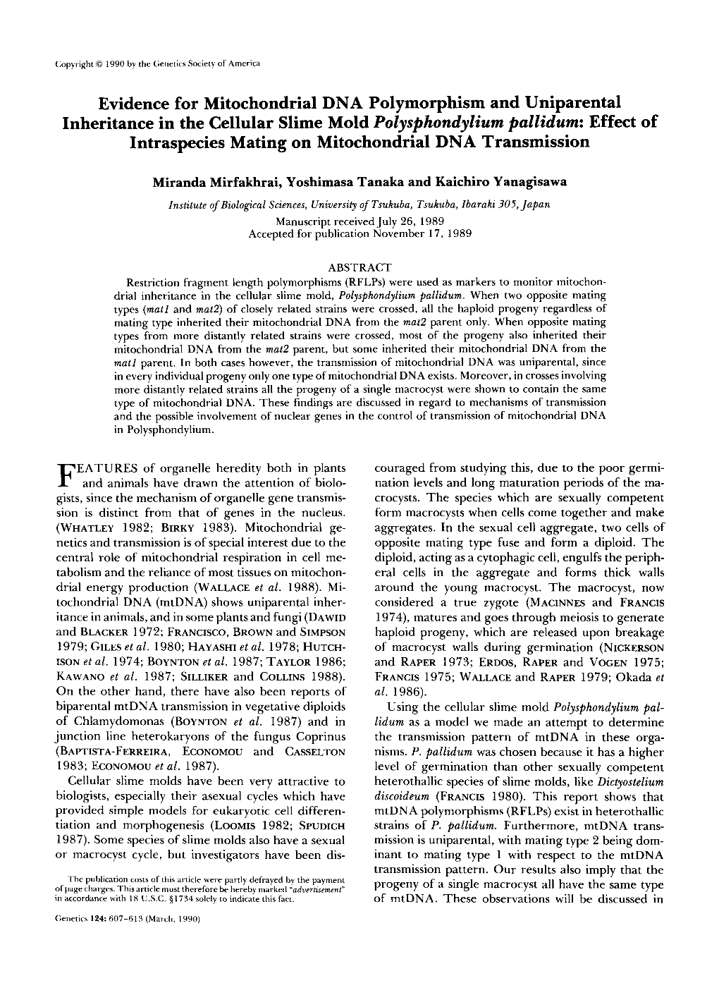 Evidence for Mitochondrial DNA Polymorphism and Uniparental Inheritance in the Cellular Slime Mold Polysphondylium