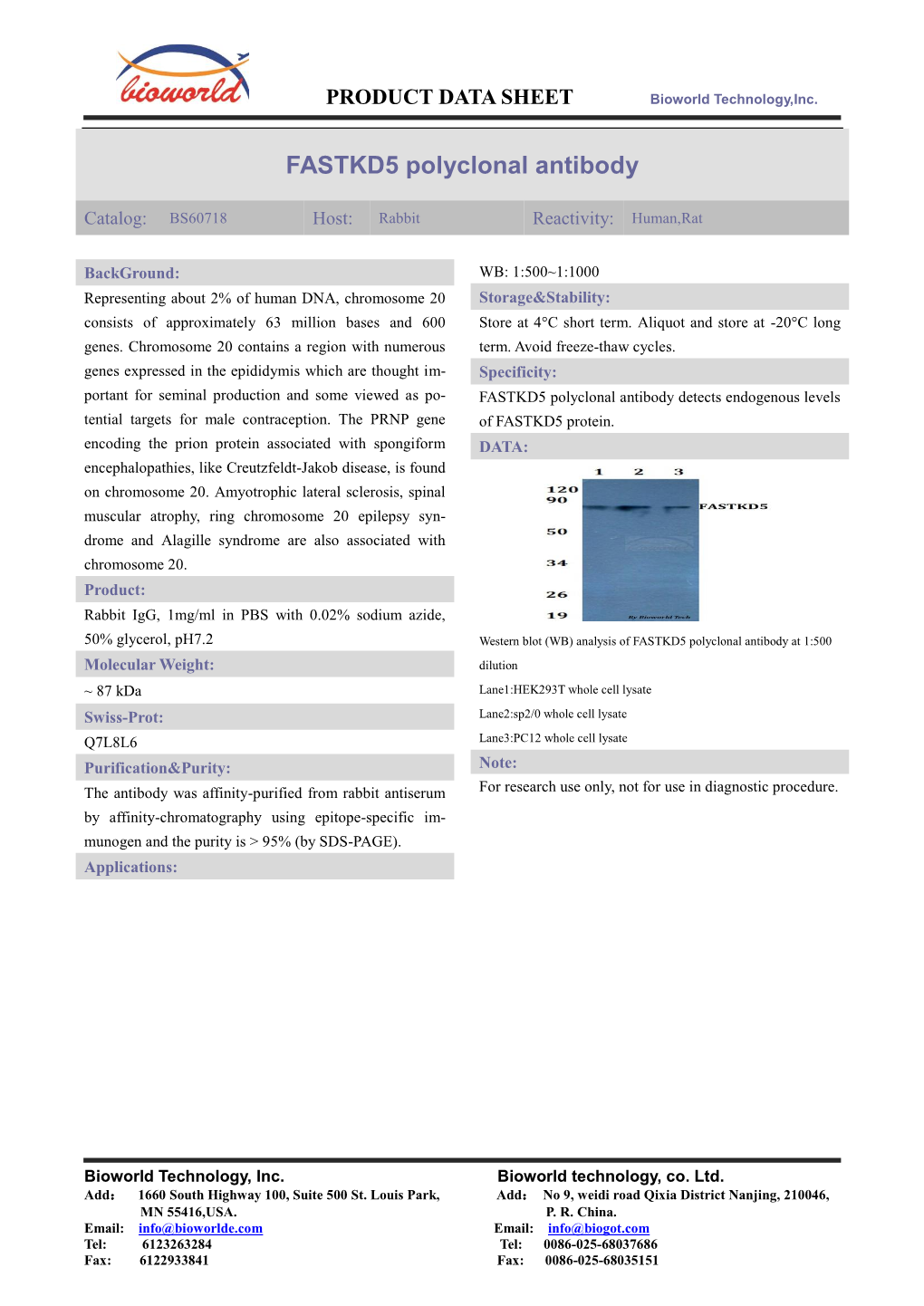 FASTKD5 Polyclonal Antibody