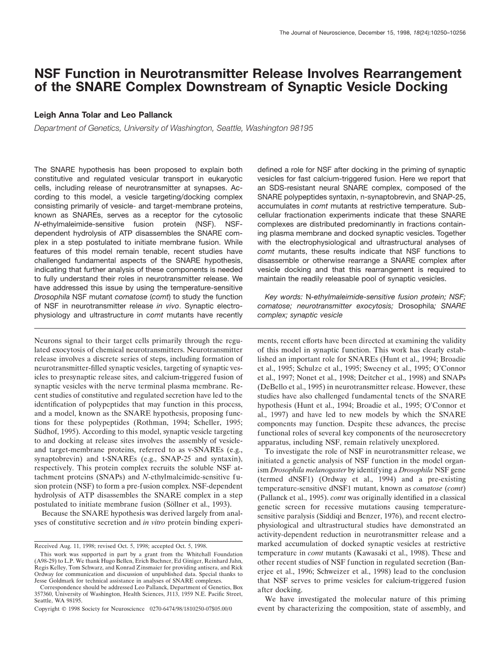 NSF Function in Neurotransmitter Release Involves Rearrangement of the SNARE Complex Downstream of Synaptic Vesicle Docking