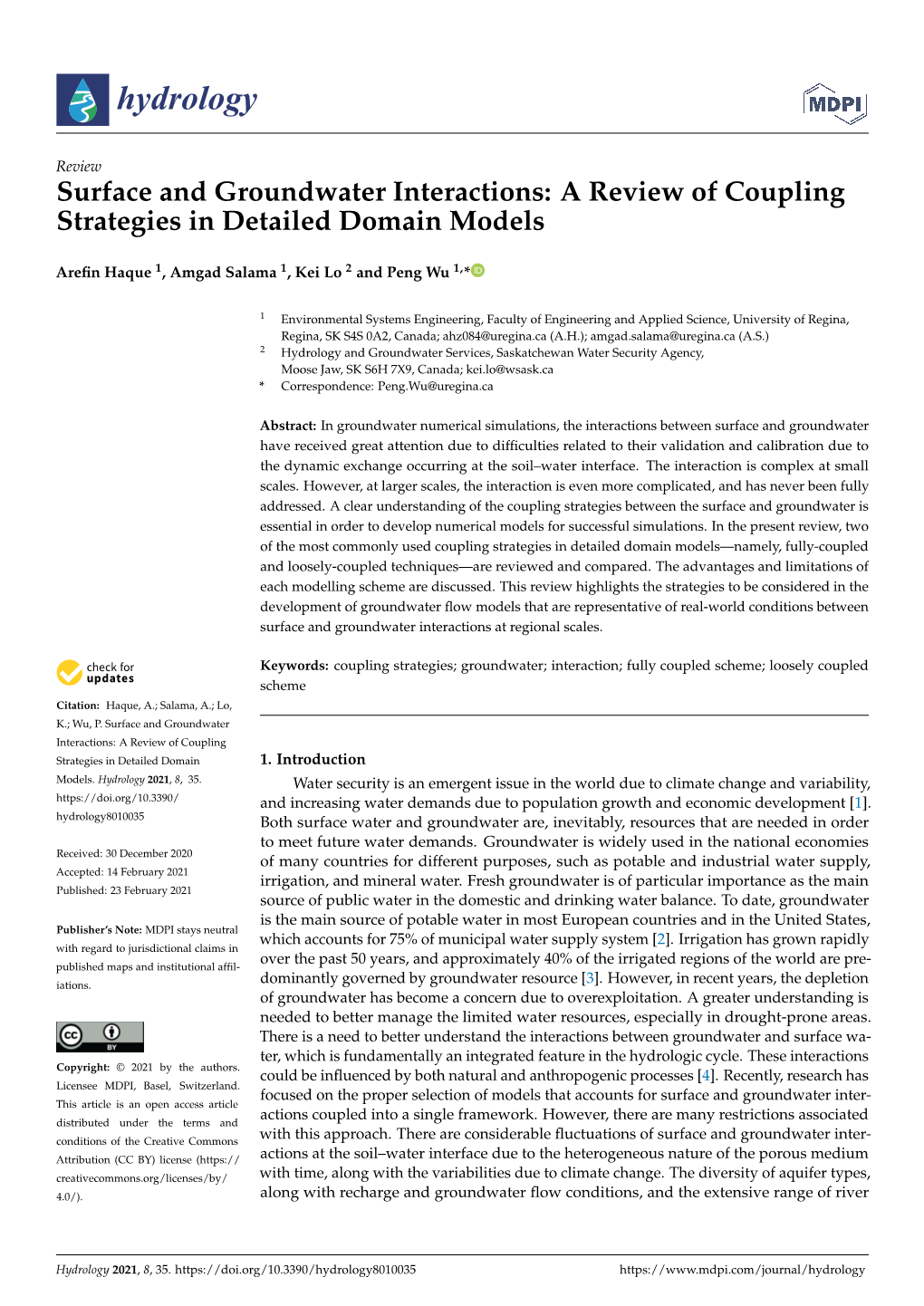 Surface and Groundwater Interactions: a Review of Coupling Strategies in Detailed Domain Models