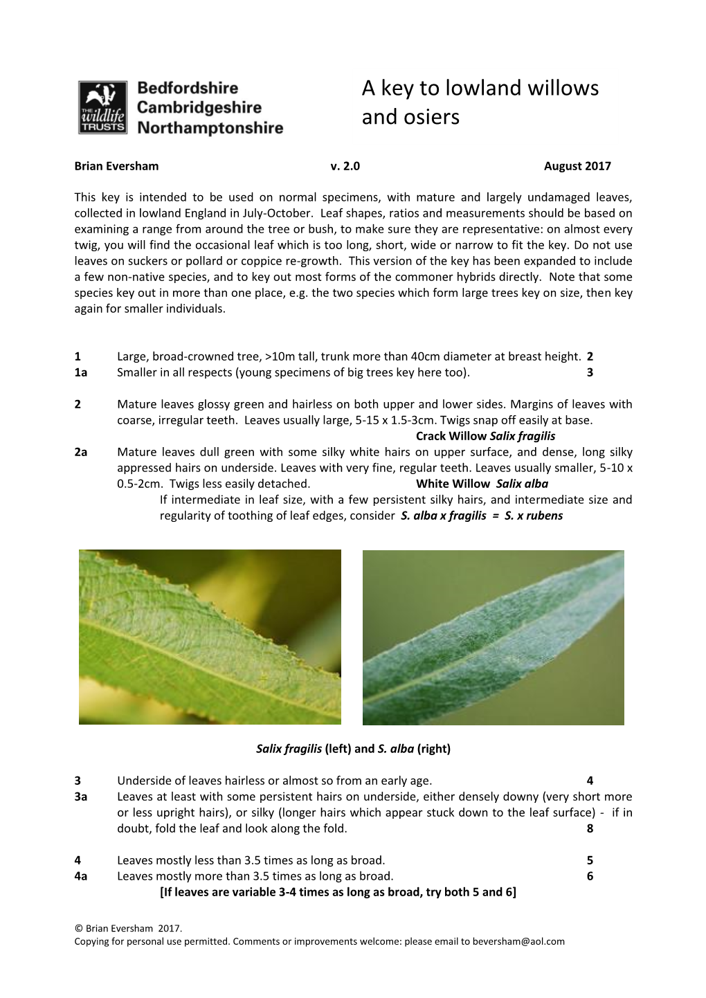 A Key to the Commoner Lowland Willows, Sallows and Osiers