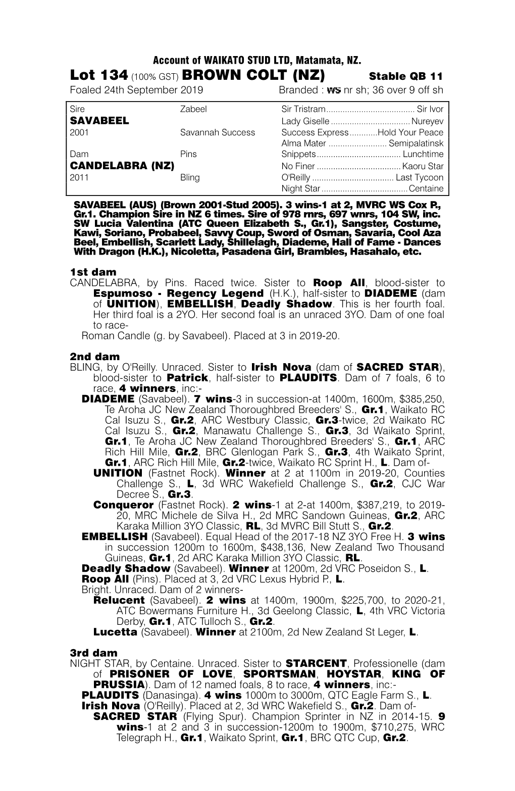 Lot 134 (100% GST) BROWN COLT (NZ) Stable QB 11 Foaled 24Th September 2019 Branded : Nr Sh; 36 Over 9 Off Sh