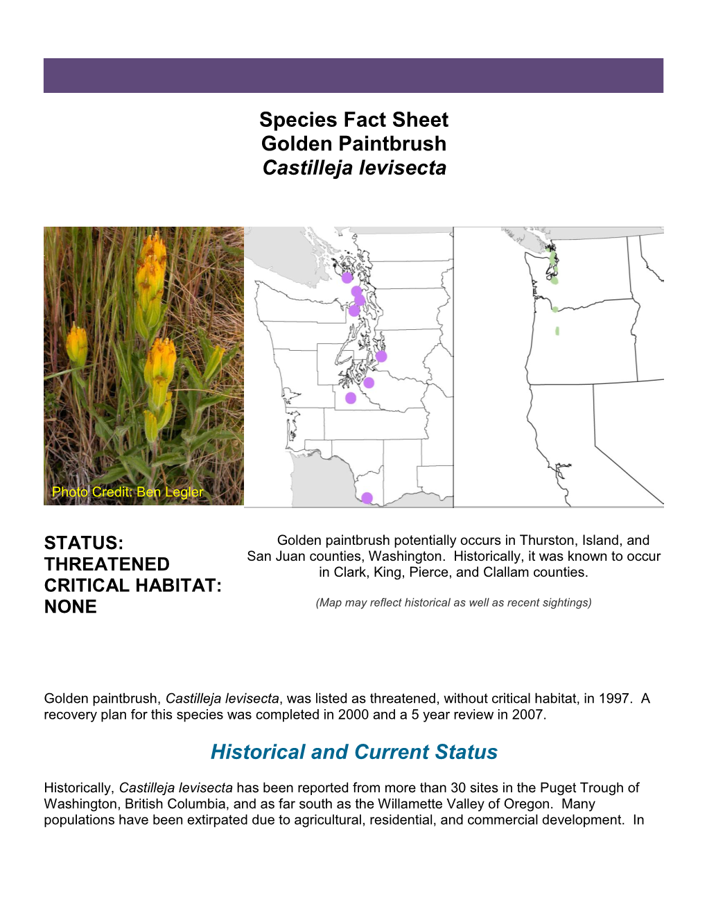 Species Fact Sheet Golden Paintbrush Castilleja Levisecta Historical and Current Status