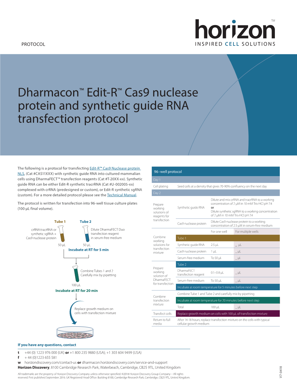 Edit-R Cas9 Nuclease Protein and Synthetic Guide RNA Transfection