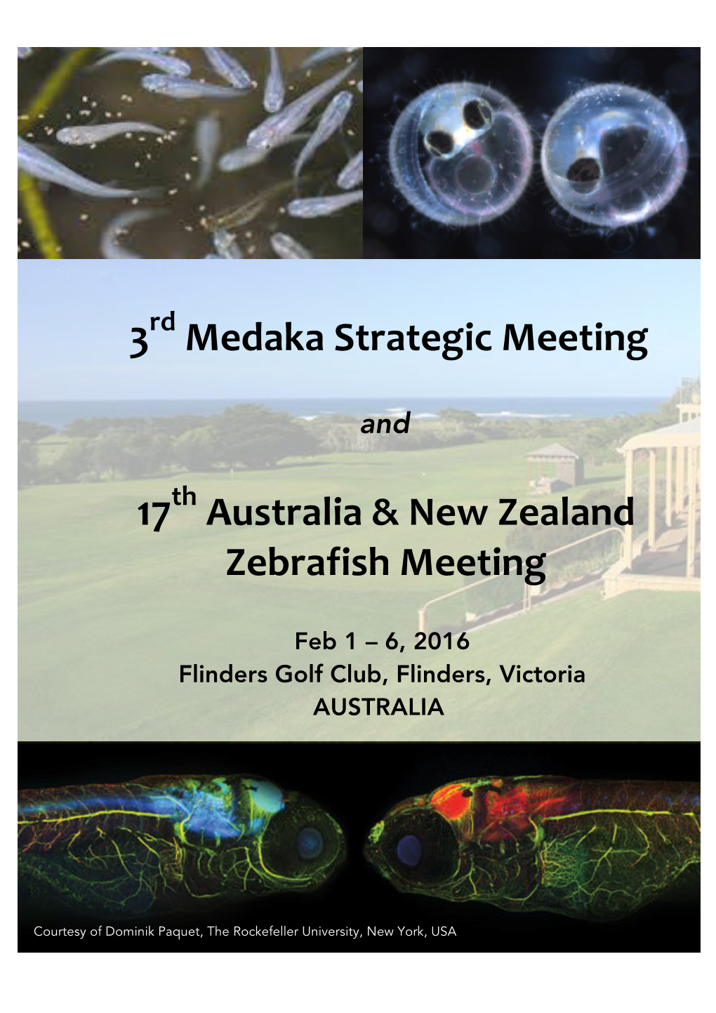 Medaka Strategic Meeting Australia & New Zealand Zebrafish Meeting