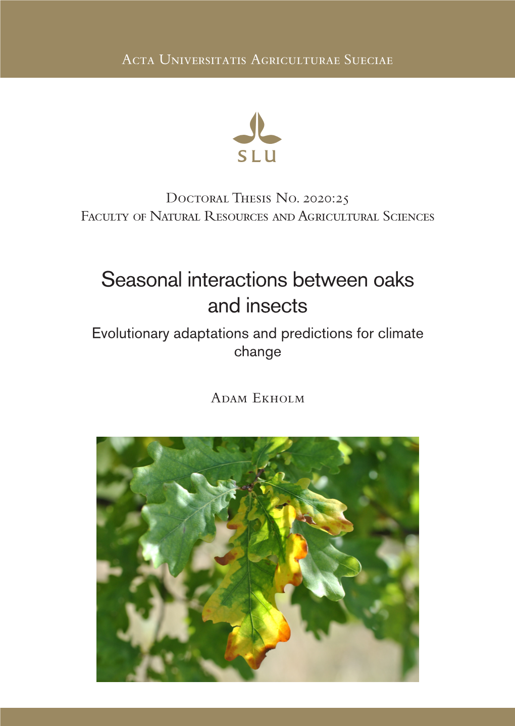 Seasonal Interactions Between Oaks and Insects Adam Ekholm