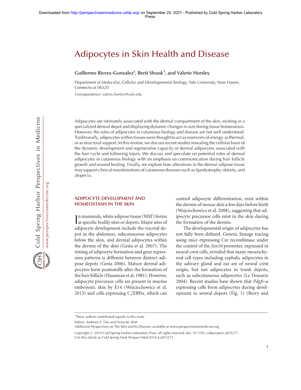 Adipocytes in Skin Health and Disease