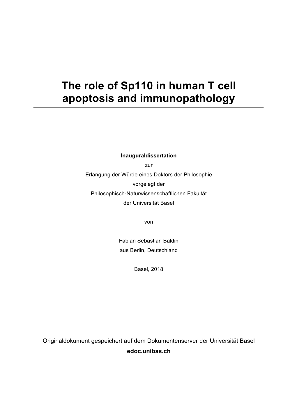 Phd Thesis Fabian Baldin.Pdf