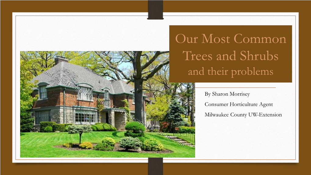 Our Most Common Trees and Shrubs and Their Problems