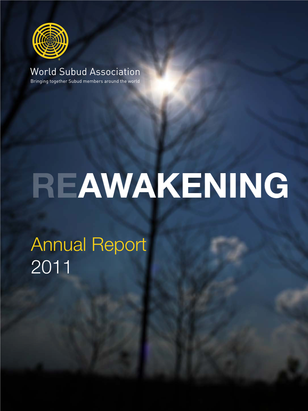 Annual Report 2011