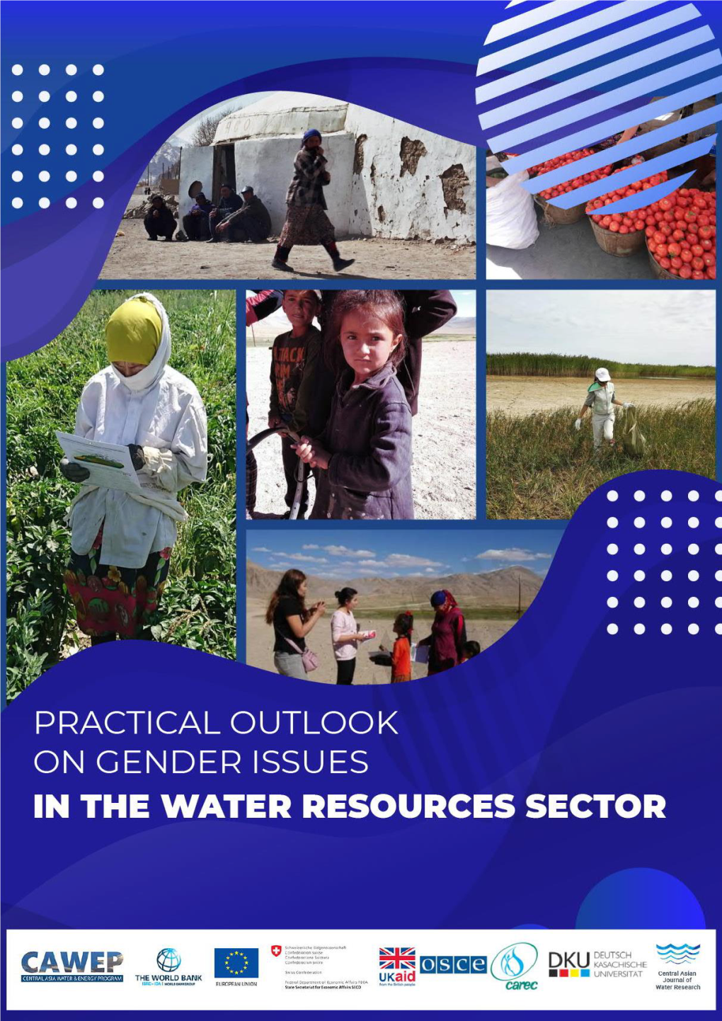 Practical Outlook on Gender Issues in the Water Resources Sector 2