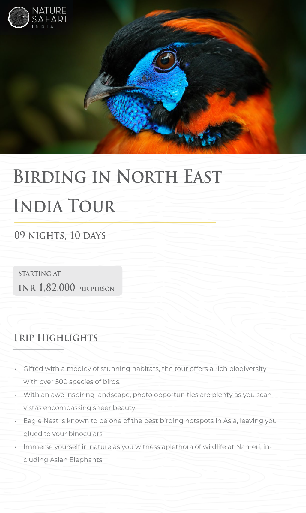 Birding in North East India Tour