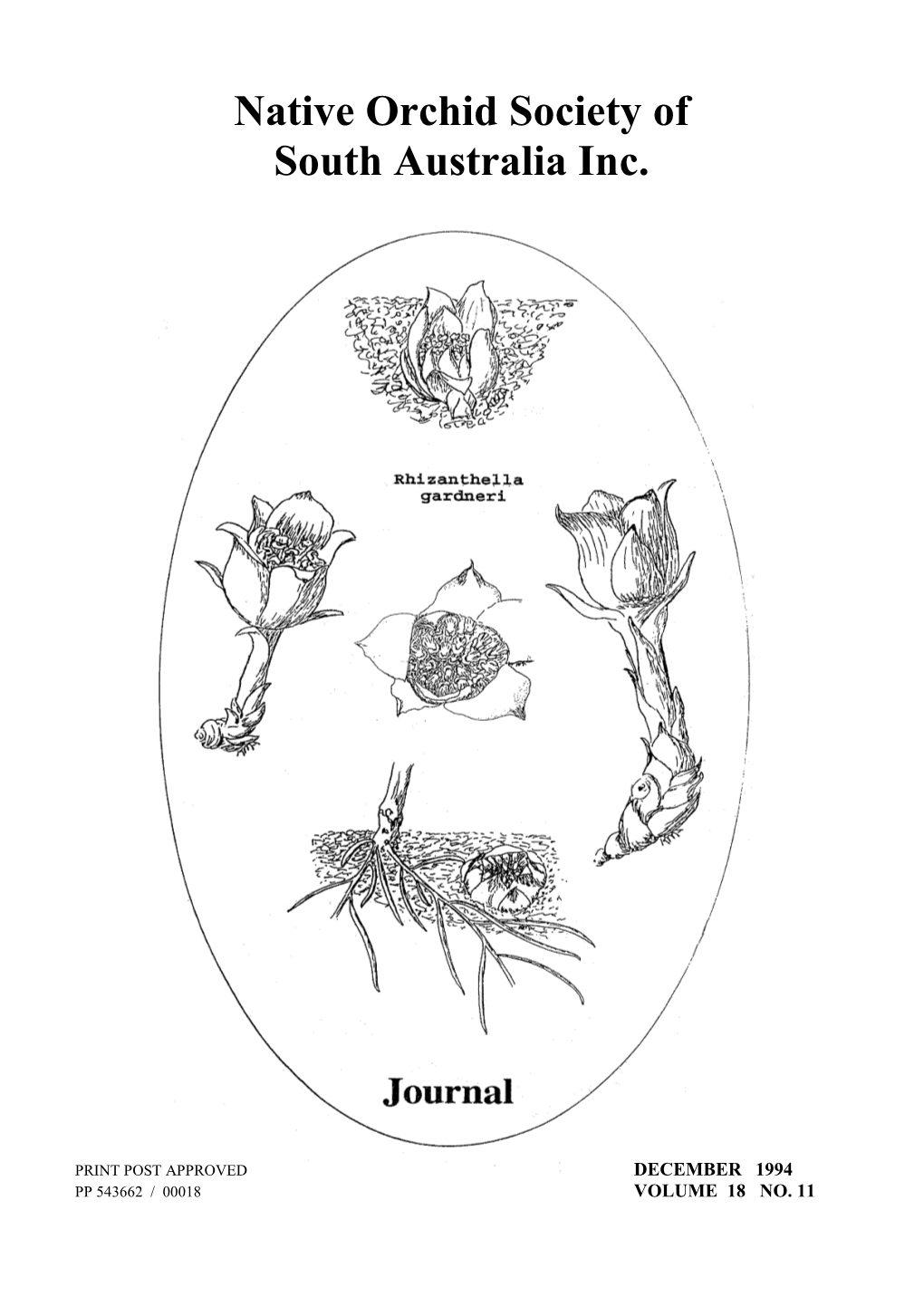 Native Orchid Society of South Australia Inc December 1994 Vol. 18. No. 11 Journal