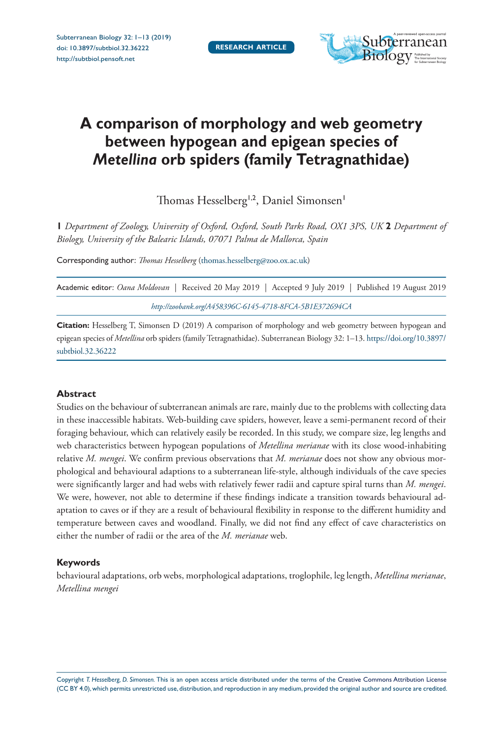 A Comparison of Morphology and Web Geometry Between Hypogean and Epigean Species of Metellina Orb Spiders (Family Tetragnathidae)