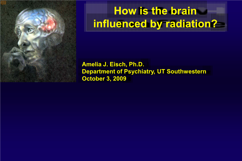 Adult Neurogenesis = Repair the Injured Brain, Spinal Cord?