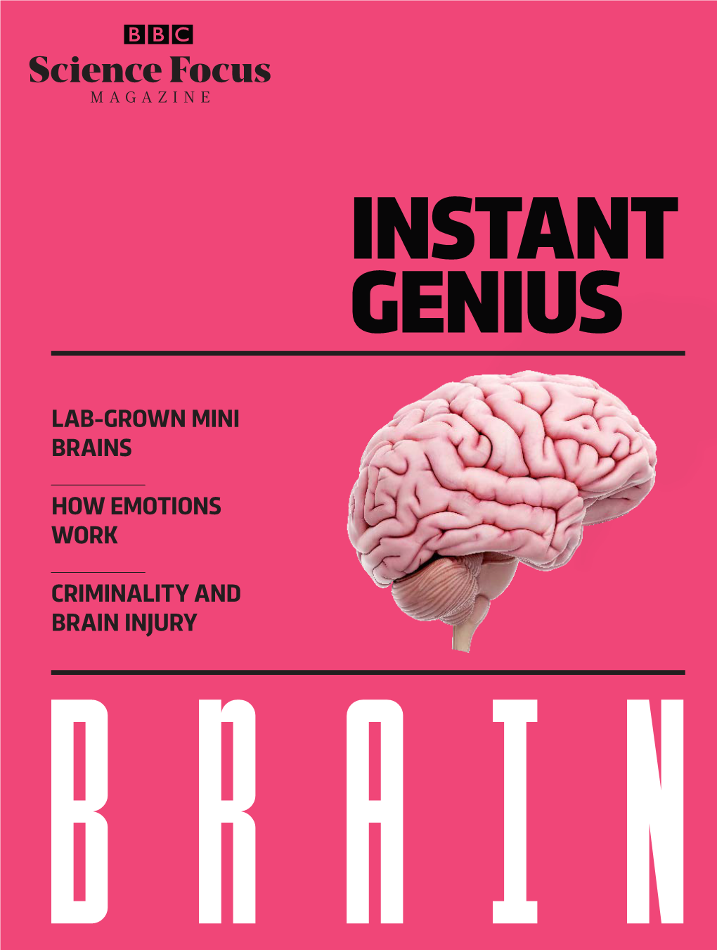 Lab-Grown Mini Brains How Emotions Work Criminality