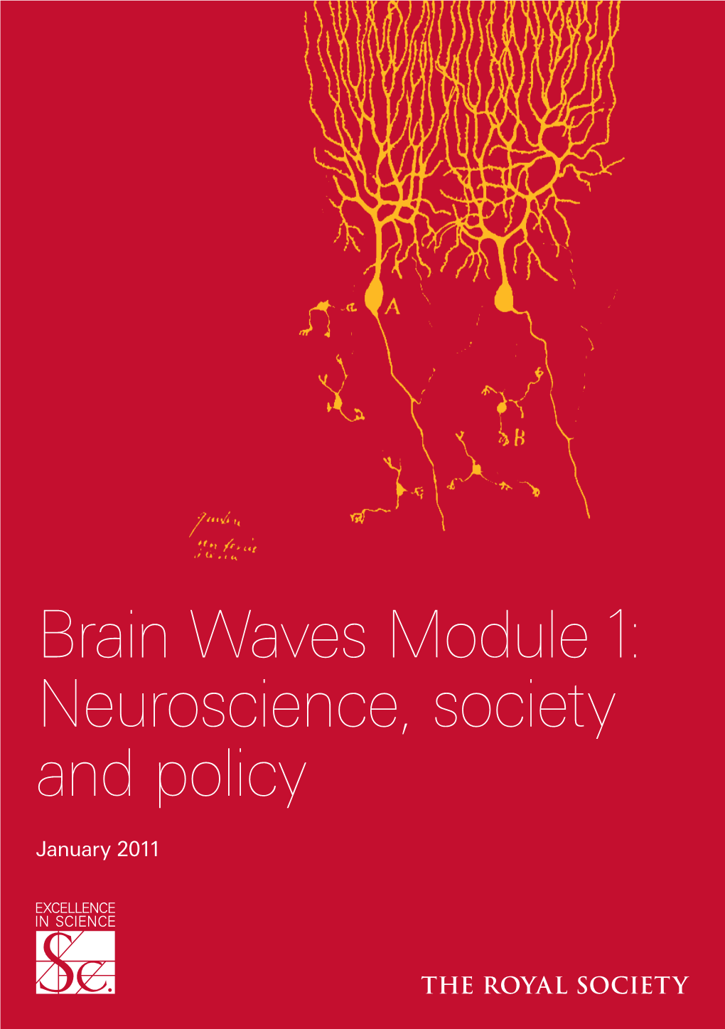 Neuroscience, Society and Policy