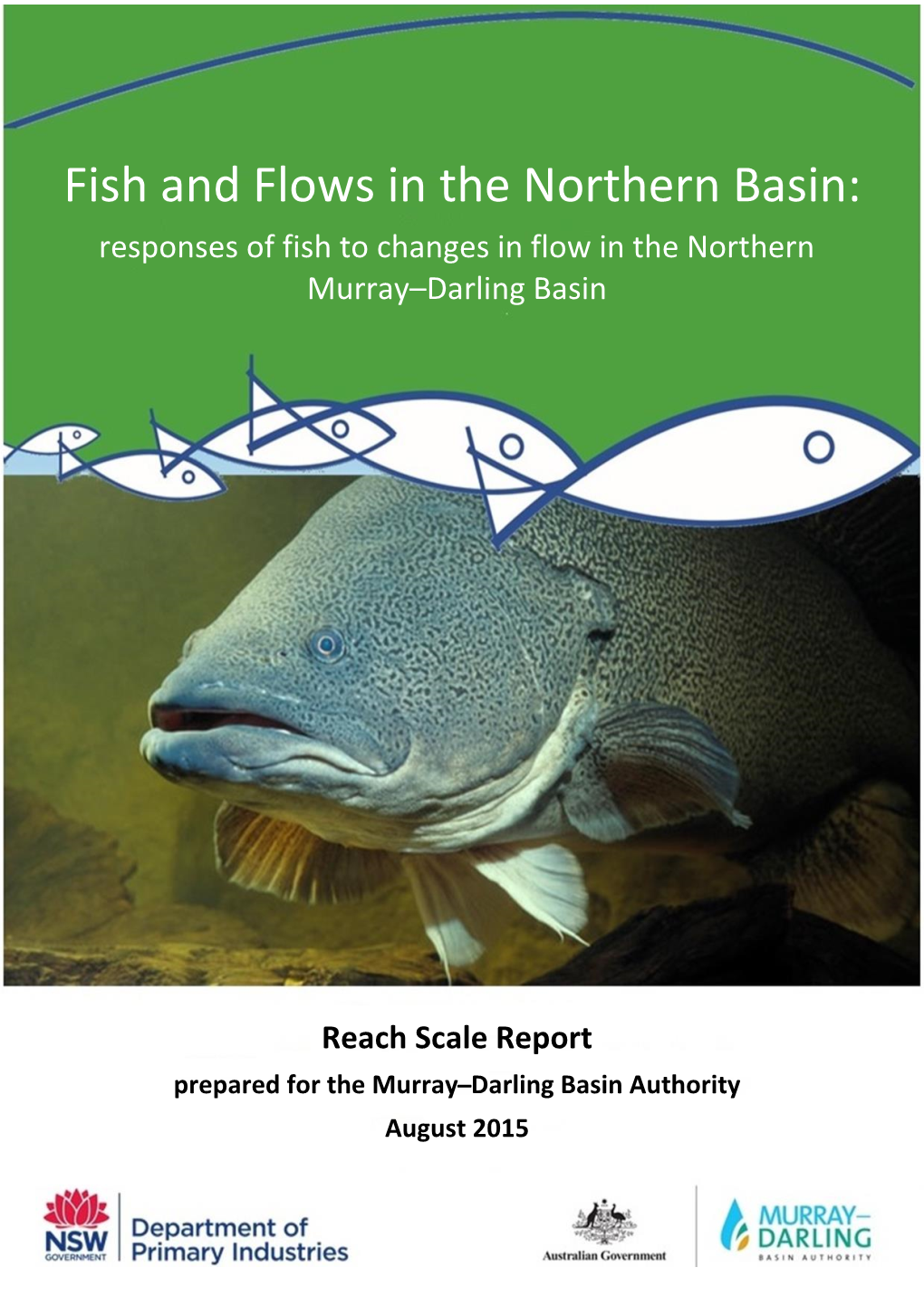 Fish and Flows in the Northern Basin: Responses of Fish to Changes in Flow in the Northern Murray–Darling Basin