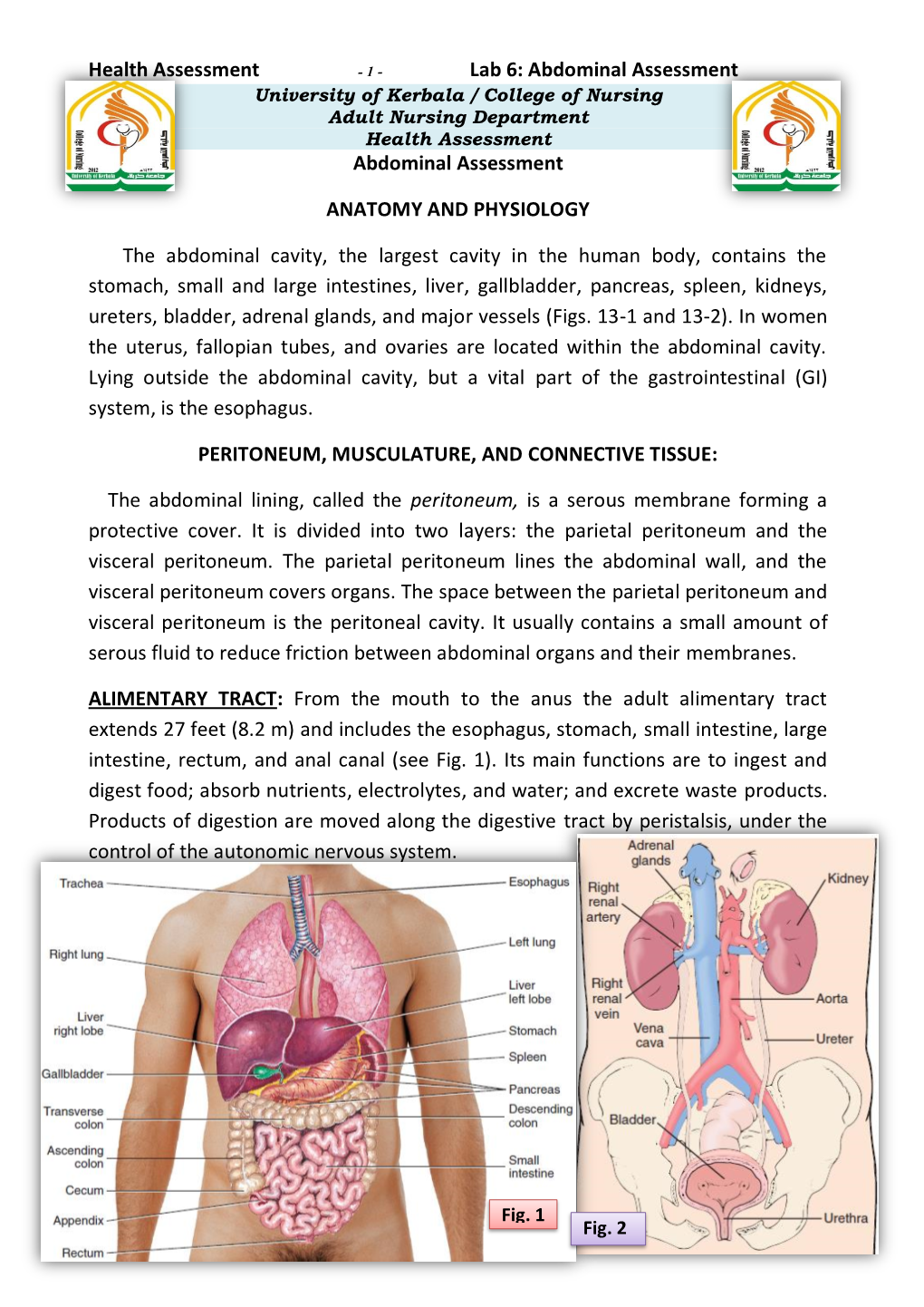 Abdominal-Assessment.Pdf