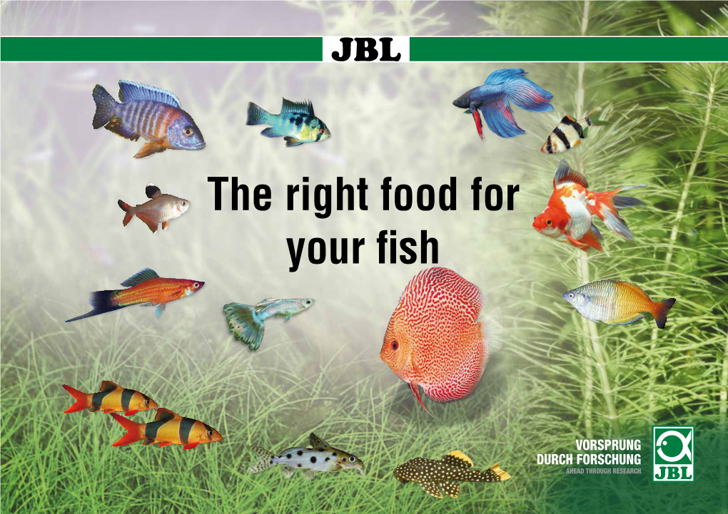 The Right Food for Your Fish COMMUNITY AQUARIUM