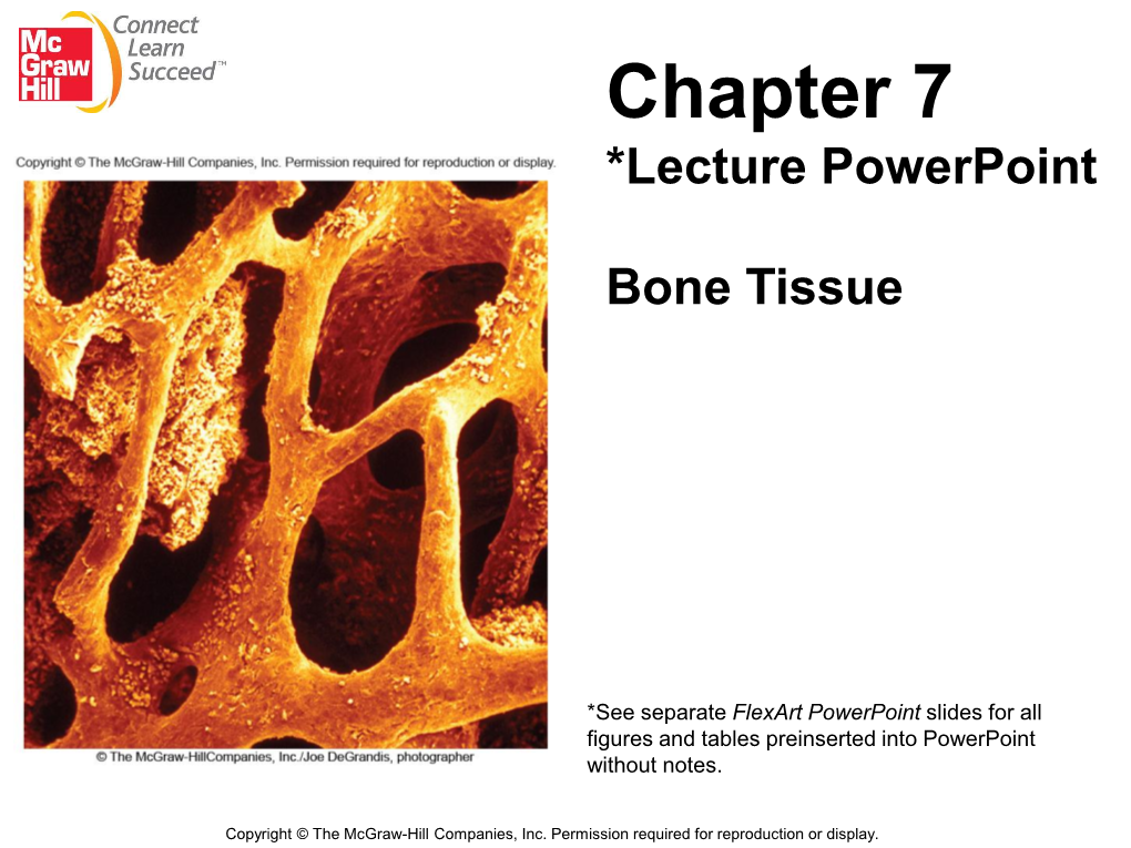 Chapter 7 *Lecture Powerpoint