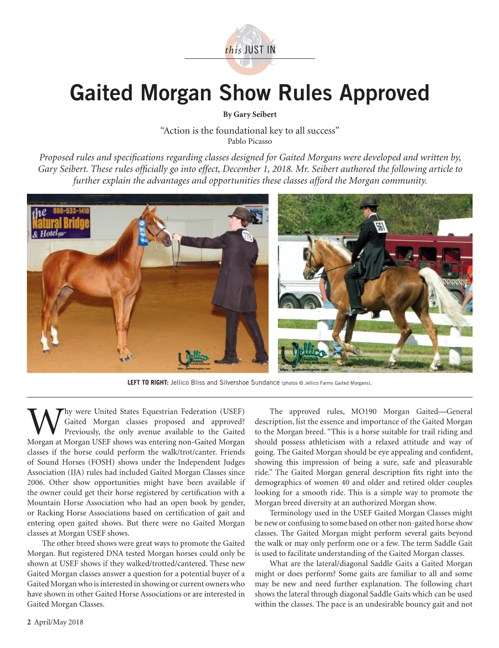 Gaited Morgan Show Rules Approved