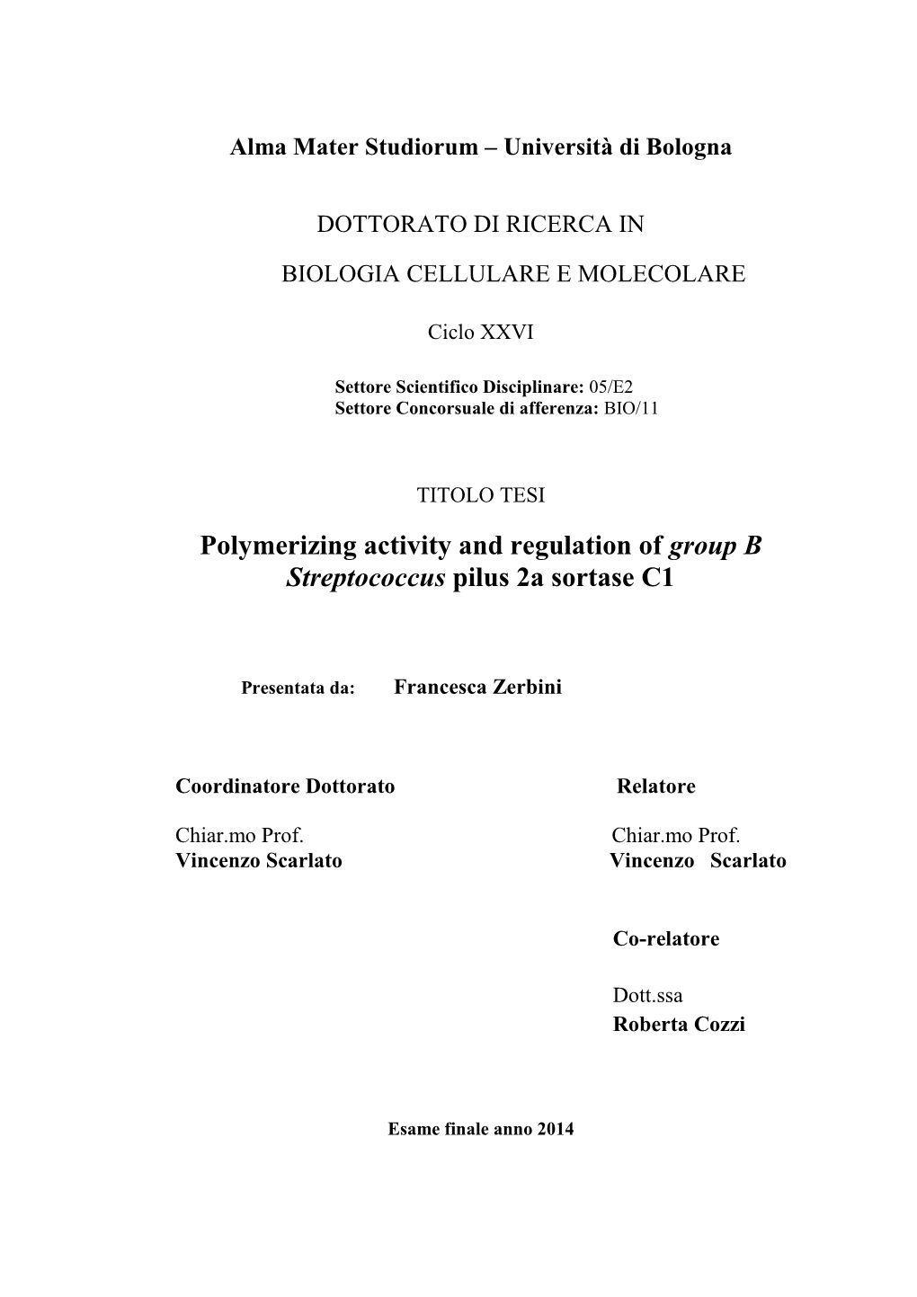 Polymerizing Activity and Regulation of Group B Streptococcus Pilus 2A Sortase C1