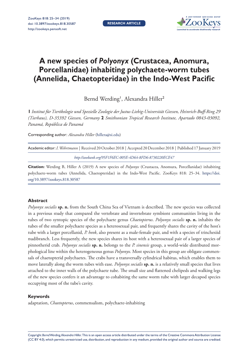 Crustacea, Anomura, Porcellanidae) Inhabiting Polychaete-Worm Tubes (Annelida, Chaetopteridae) in the Indo-West Pacific